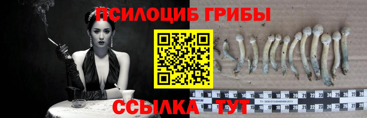 Ставрополь  Галлюциногенные грибы GOLDEN TEACHER  Вход с VPN 
